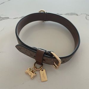 Coach dog collar large